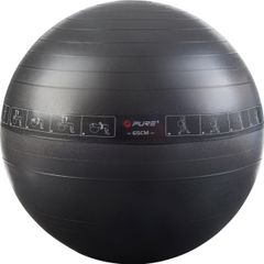 Pure 2Improve Gym Ball